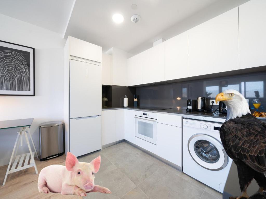 Apartamento Xpce Urban 4 Malaga Skyline - Free Parking Exterior foto